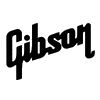 Chitarre Acustiche - GIBSON - RICHWOOD - EKO - FURCH