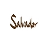 Chitarre - SALVADOR - LAVA MUSIC - PRS - COBRA